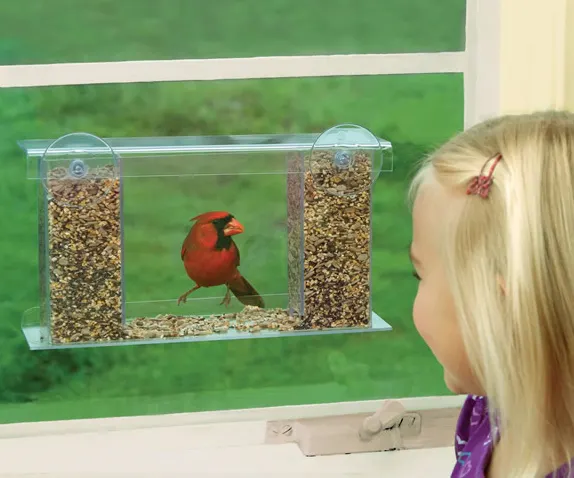 1 Way Mirror Bird Feeder