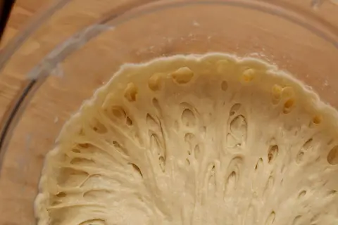 225-Year-Old French Sourdough Starter