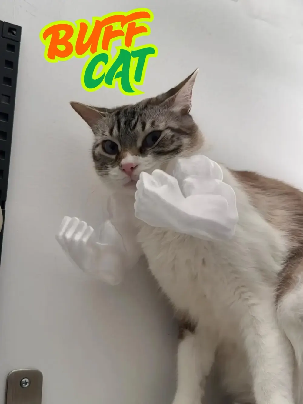 3D-Printed Cat Muscle Arms