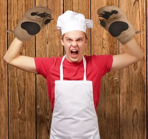 Bear Paw Oven Mitts