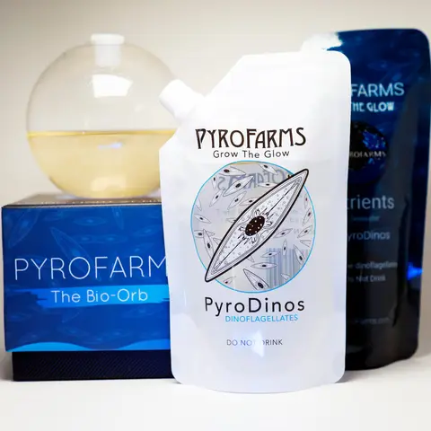 Bioluminescent PyroDino Bio-Orb