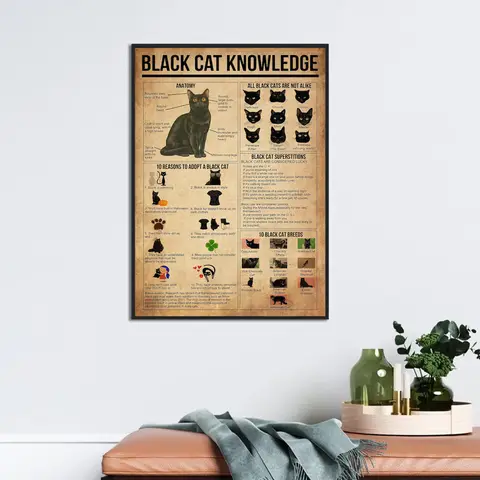 Black Cat Lore Infographic Poster