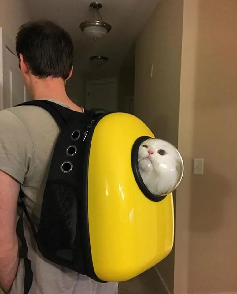 Bubble Pet Carrier Backpack