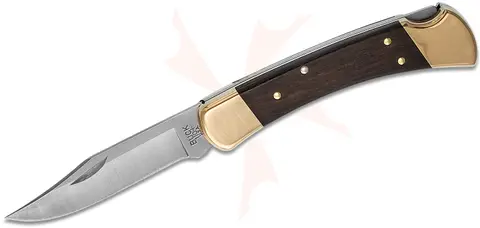 Buck 110 Folding Hunter