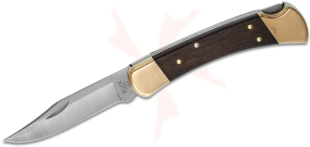 Buck 110 Folding Hunter