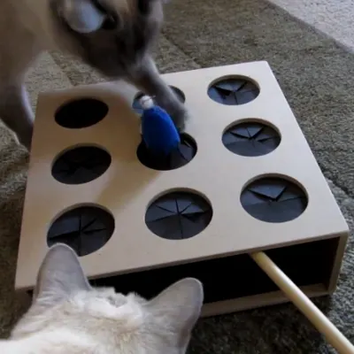 Cat Whack A Mouse