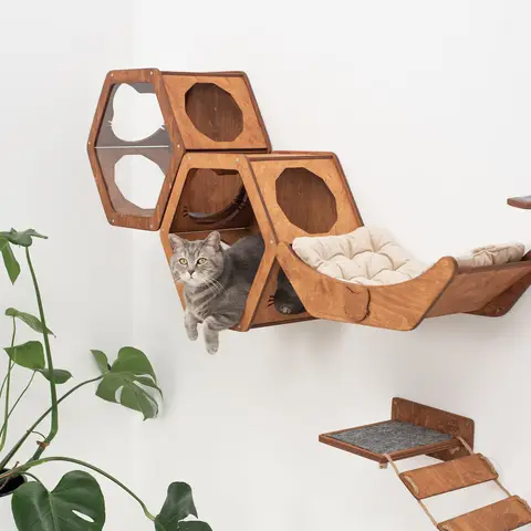 CatsMode Hexagon Cat Wall Shelves