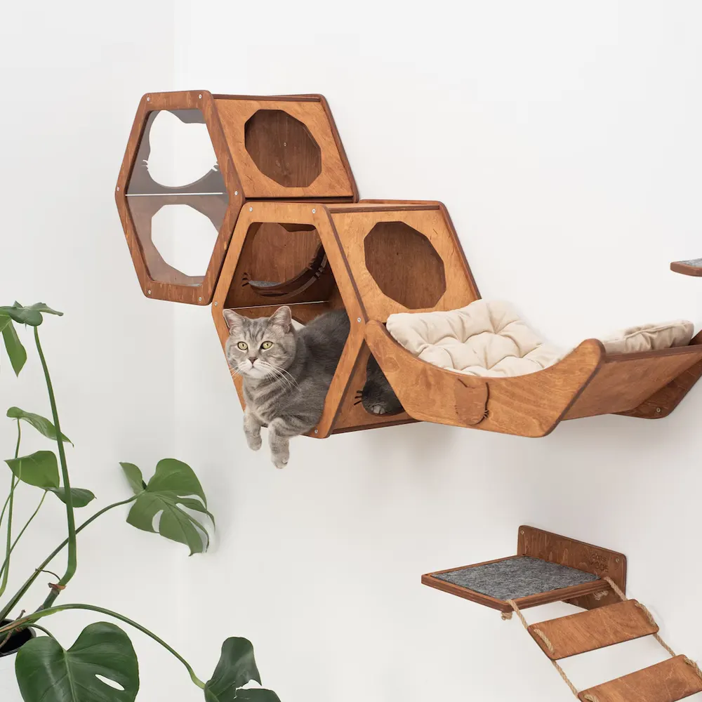 CatsMode Hexagon Cat Wall Shelves