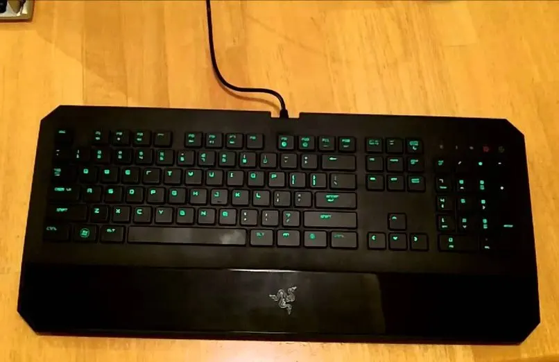 DeathStalker Expert Gaming Keyboard
