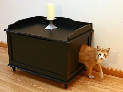 Designer Litter Box