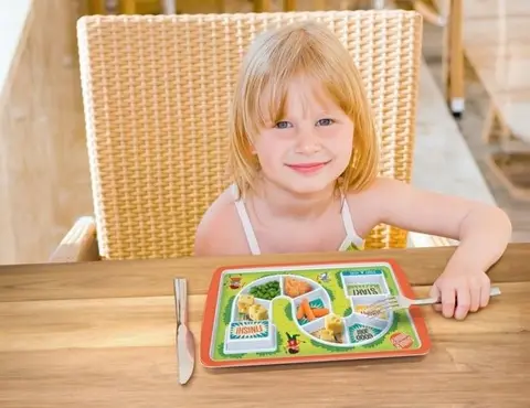 Dinner Game Plate