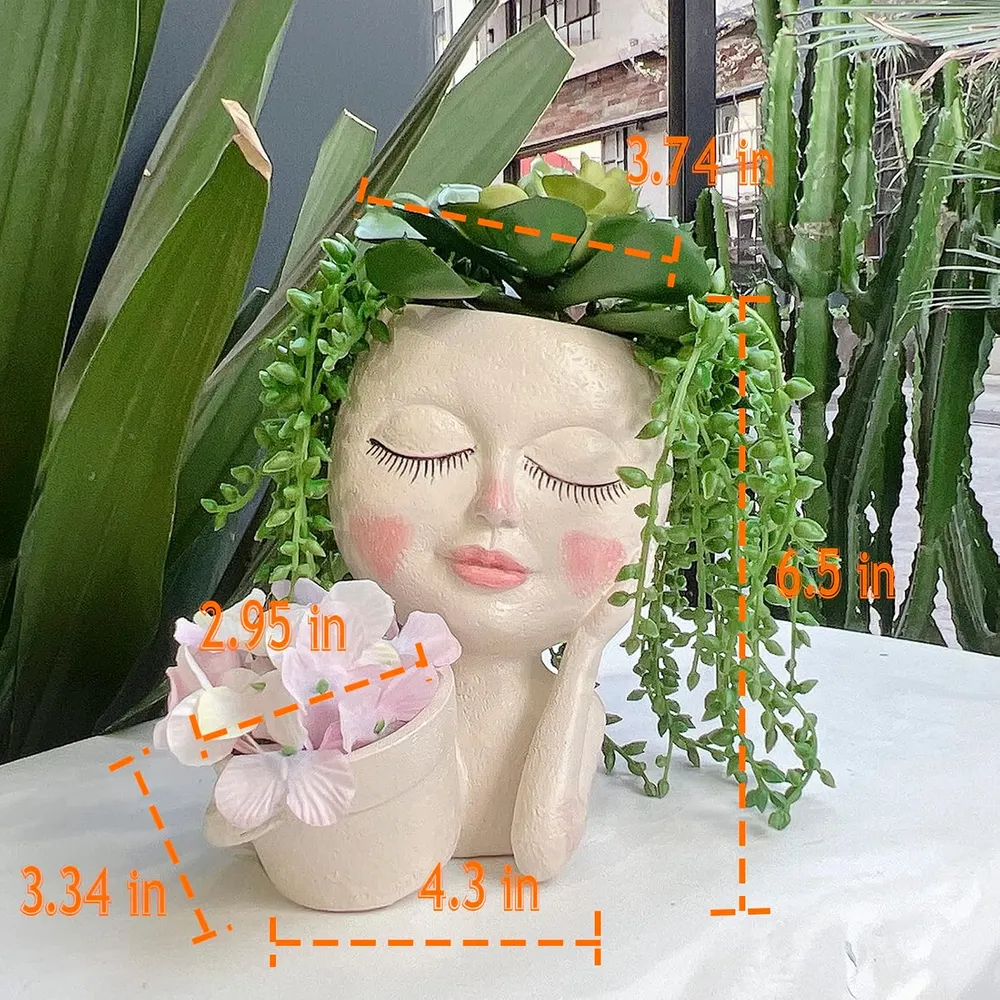 Double Head Face Planter, photo 3