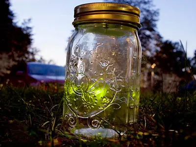 Electronic Firefly In a Jar