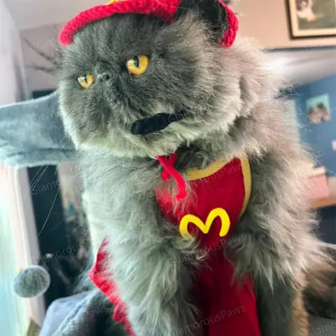 Fast Food Costume for Cats and Dogs