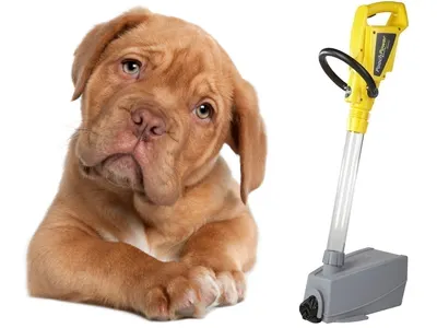 Feces Vacuum