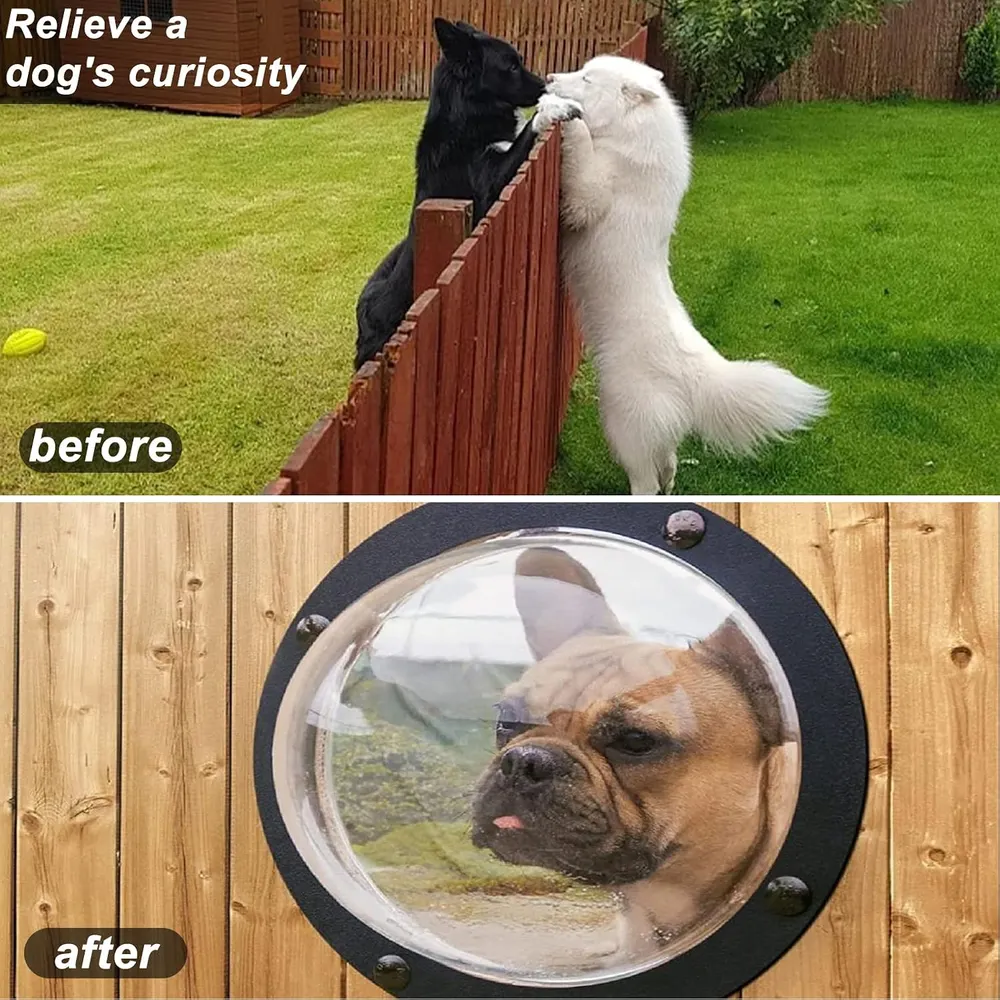 Dog Fence Window for the Neighborhood Watch, photo 4