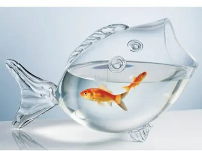 Fish Shaped Fish Bowl