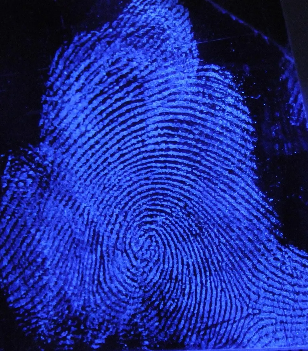 Luminol Forensics Spray, photo 4