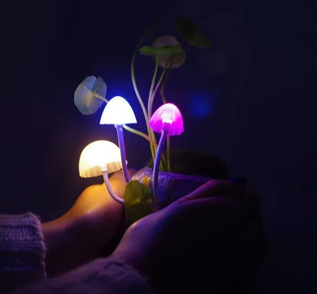 Glowing Mushrooms Night Light