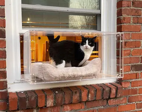 Indoor Window Catio