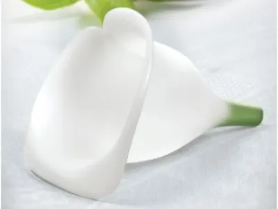 Lily Funnel