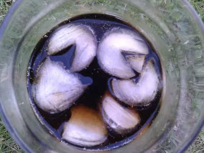 Pac-Man Ice Cube Tray