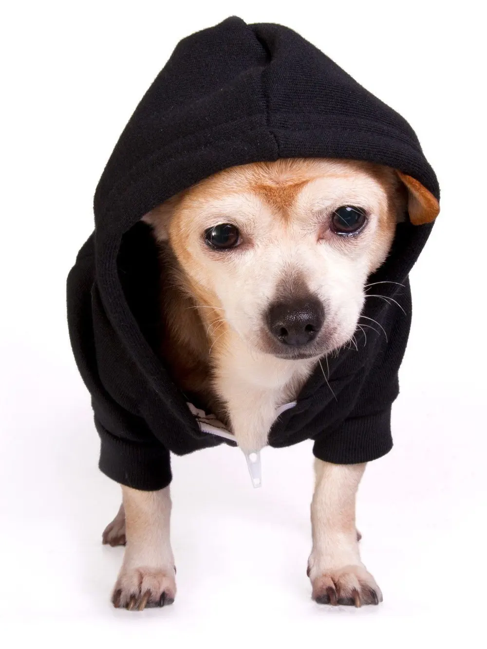 Pet Hoodie
