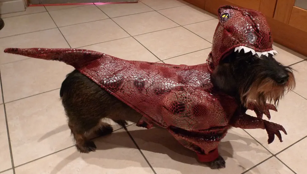 Raptor Dog Costume