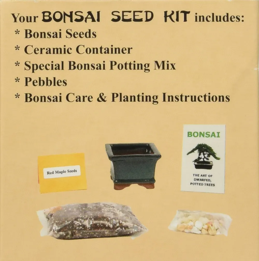 Eve's Red Maple Bonsai Seed Kit, photo 3
