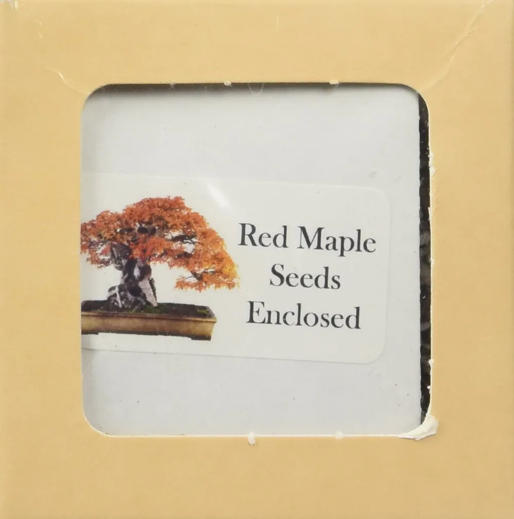Eve's Red Maple Bonsai Seed Kit, photo 4