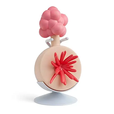 Rick and Morty Plumbus Replica