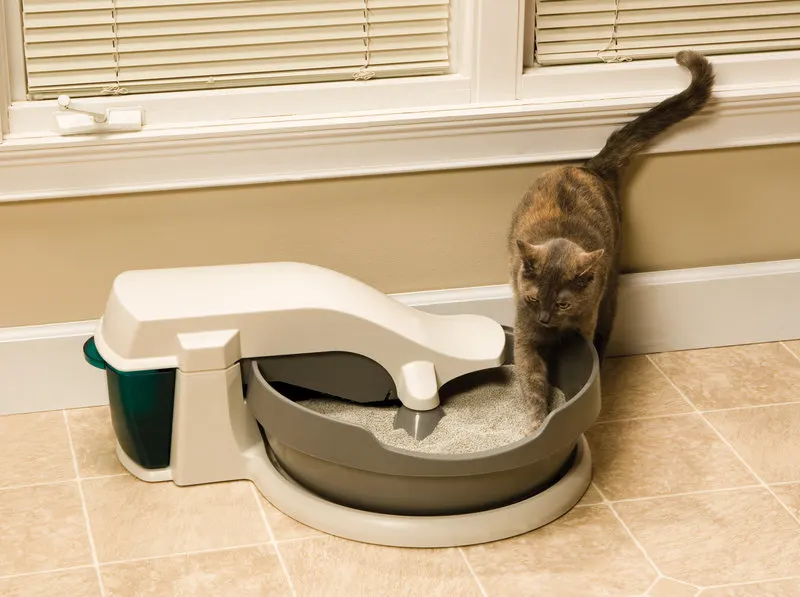 Self Cleaning Litter Box