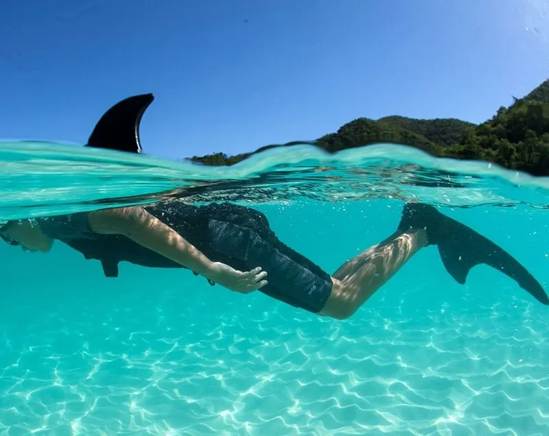 Strap On Shark Fin