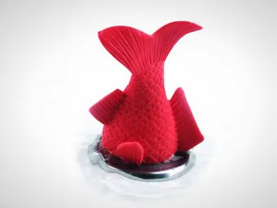 Stuck Fish Bath Plug