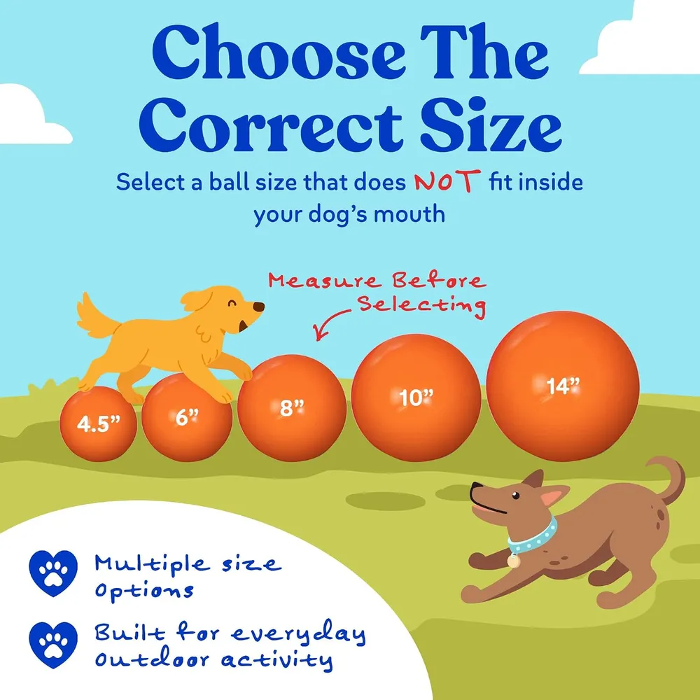 Doggie Dooley Virtually Indestructible Dog Ball, photo 4
