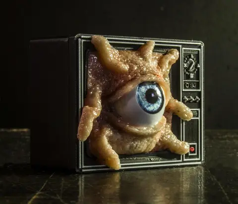 The All-Seeing Television