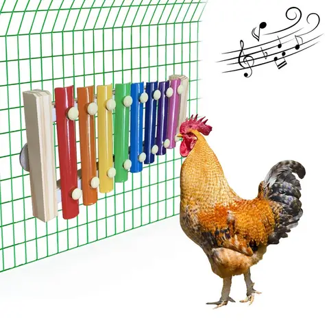 Wooden Chicken Xylophone