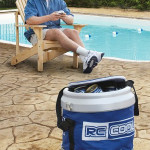 Remote Controlled Cooler