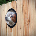 Fence Window For Dogs