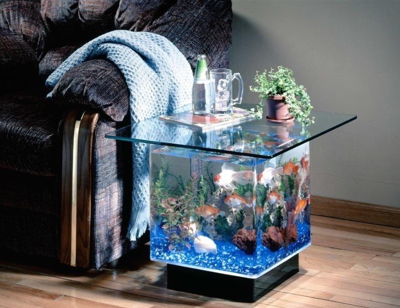 Aquarium End Table