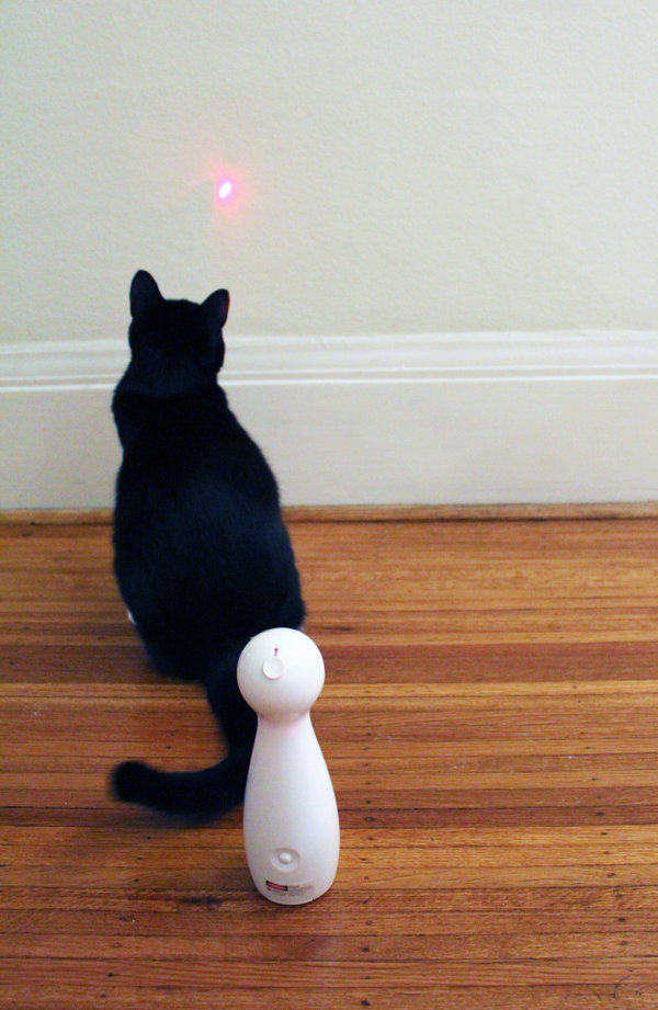 Automatic Laser Pet Toy
