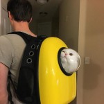 Bubble Pet Carrier Backpack