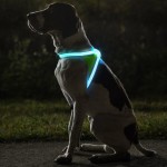 Reflective LED Dog Vest