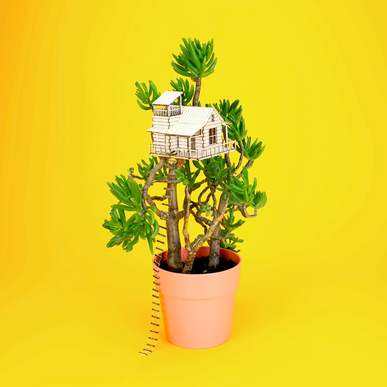Plant-House Houseplant Treehouse